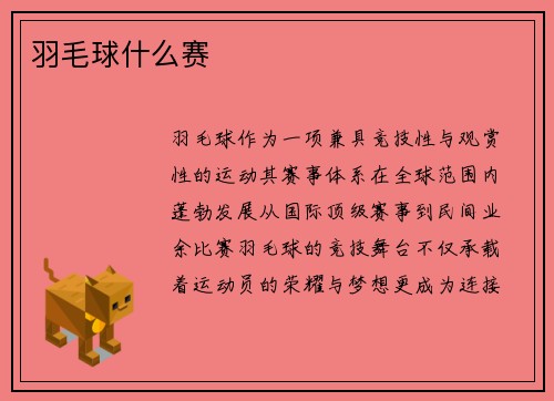 羽毛球什么赛